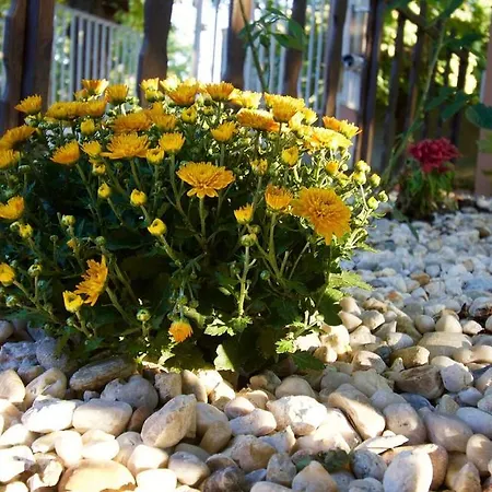 شقة Malomtavi Vendeghaz *